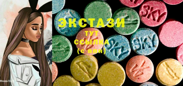 гашик Алексин