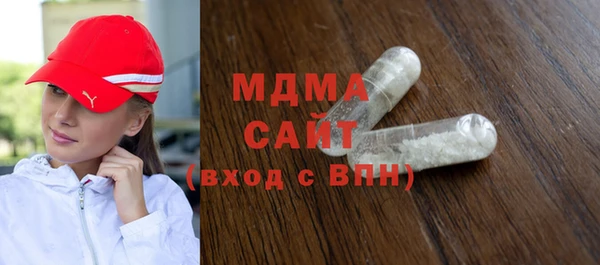 гашик Алексин