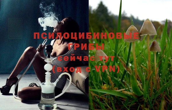 гашик Алексин