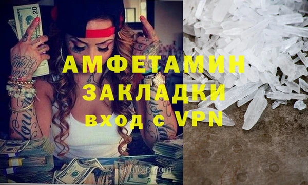 гашик Алексин