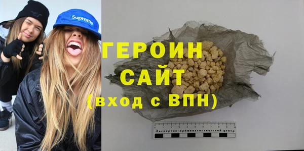 гашик Алексин
