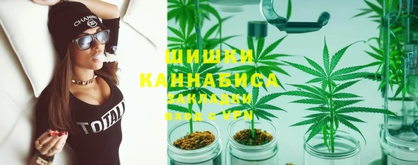 прущий лед Алзамай
