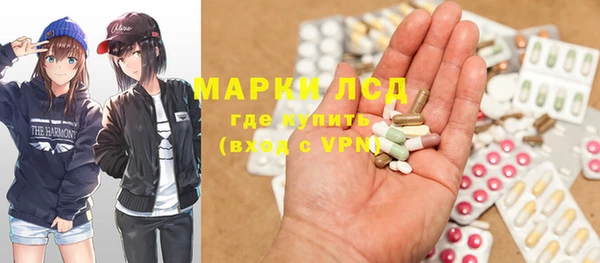 гашик Алексин
