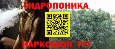 ПСИЛОЦИБИНОВЫЕ ГРИБЫ Коммунар