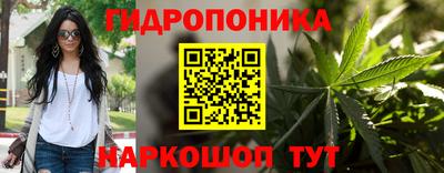 ПСИЛОЦИБИНОВЫЕ ГРИБЫ Коммунар