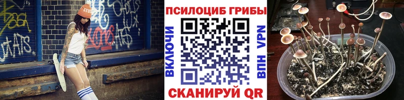 как найти   Моздок  Галлюциногенные грибы GOLDEN TEACHER 
