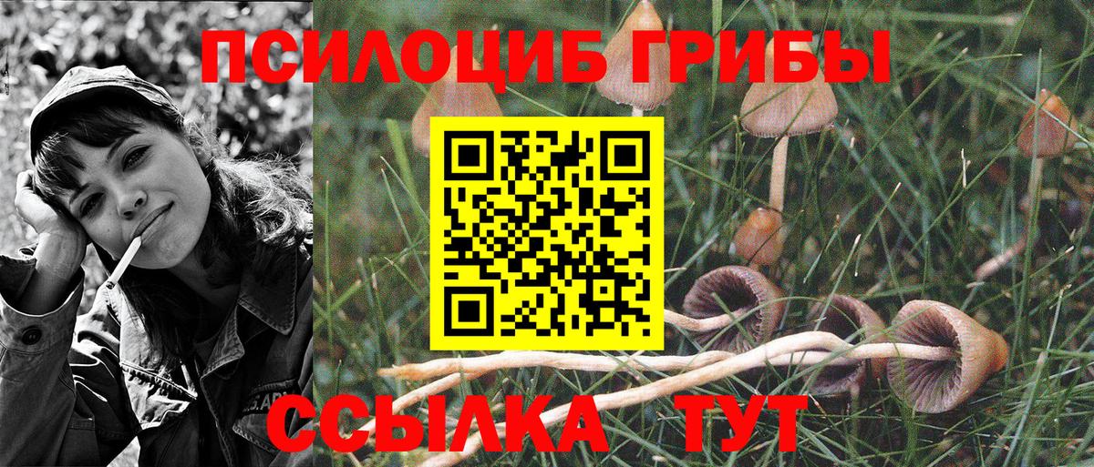 Галлюциногенные грибы Magic Shrooms  Псилоцибиновые грибы Magic Shrooms  Моздок  Вход с VPN 